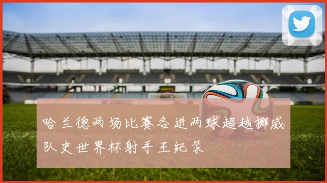 哈兰德两场比赛各进两球超越挪威队史世界杯射手王纪录